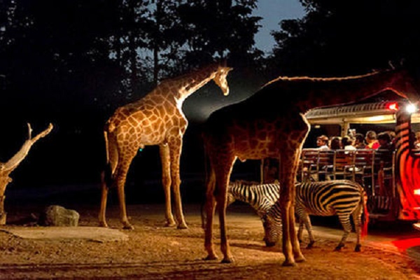 新加坡十大最受欢迎景点：环球影城上榜，第十购物胜地插图2