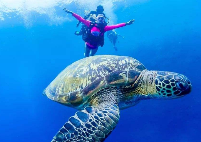 亚洲十大潜水胜地排名 最佳潜水胜地潜水者必去插图4