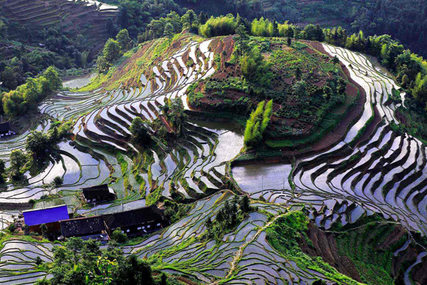 全球十大最美梯田排名：江西江岭梯田第一(中国7地入榜)插图5