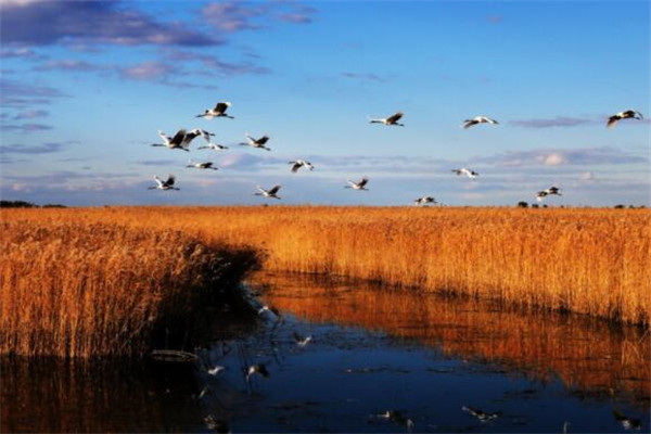 齐齐哈尔最好玩的地方推荐 齐齐哈尔好玩的地方排行榜插图1