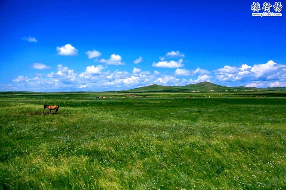 中国十大最美草原排行榜 中国哪里的草原最美插图2