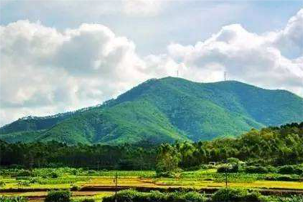 广东化州十大最好玩的景点：文笔塔上榜，第十纪念冼太夫人插图4