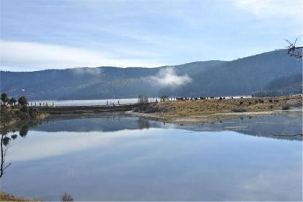 迪庆州最好玩的地方推荐 迪庆州好玩的地方排行榜插图8