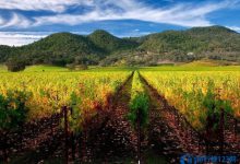 美国十大魅力城市排行榜|爱分享