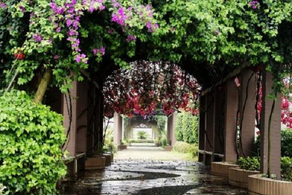 南宁十大人少好玩景点：西津湖第六，第一“水上桂林”插图6