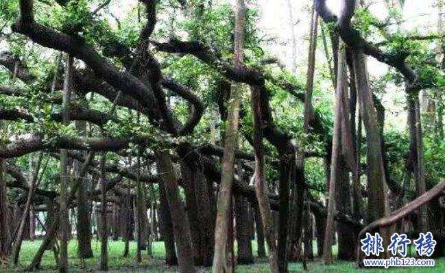 中国八大惊异奇观，真是让人叹为观止插图2