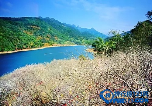 国内十大赏梅胜地插图6