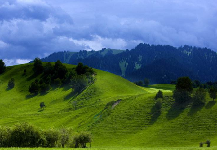 全球四大草原排行榜 中国占了三个，呼伦贝尔位列第一插图1