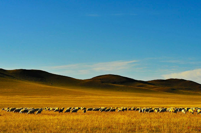 内蒙古十大旅游景点 领略别样的蒙古风情插图3