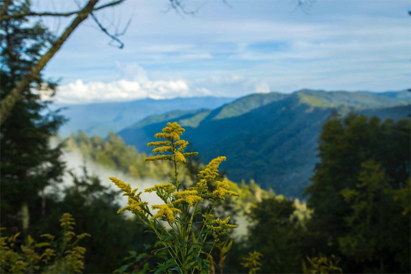 美国十大小镇 风景秀美， 第2名还曾是黑胡子海岛的大本营插图4