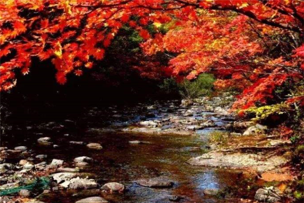 丹东十大风景名胜排行榜:凤凰山上榜,第一适合秋天去插图6 丹东十大风景名胜排行榜:凤凰山上榜,第一适合秋天去插图6