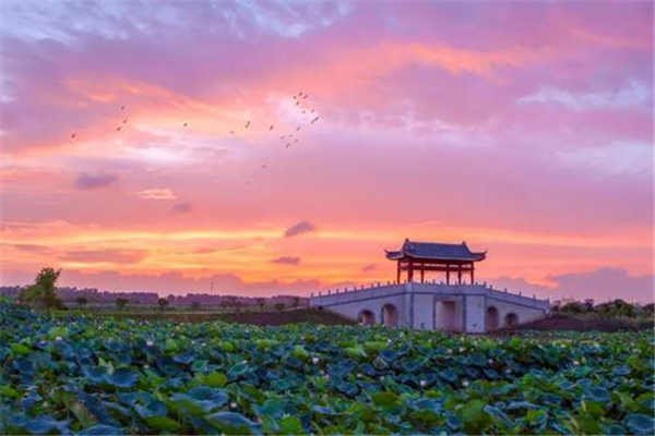 东莞十大免费景点 粤晖园上榜，旗峰公园排第七位插图3