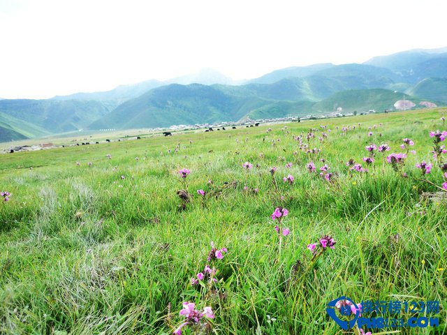 北京周边最美10大草原排行榜插图1