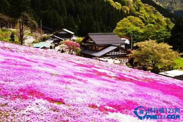 日本TOP9最美小镇等你来光临插图4