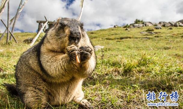 2018国庆去哪玩人少，十一便宜超美景点推荐插图7