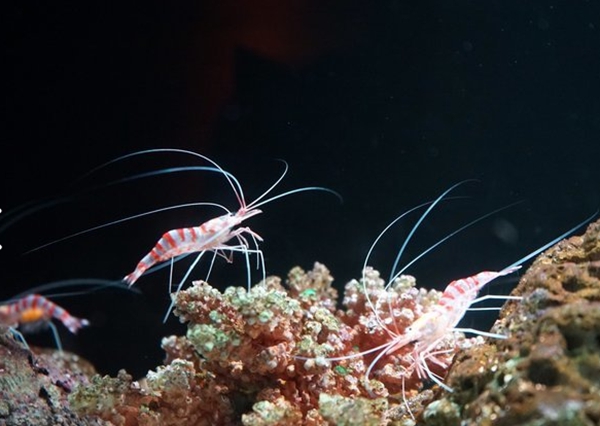 泰国曼谷十大必去景点，在当地著名，你去过几个呢?插图4