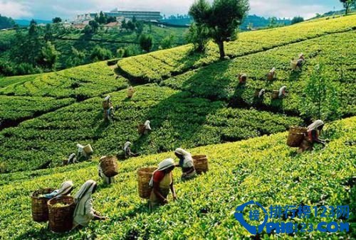 最适合穷游的国家排行榜插图