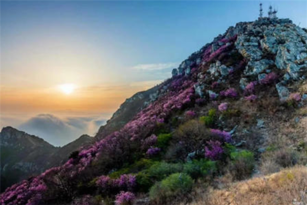 大连十大最值得去的景点：紫云花汐上榜，第八是海洋公园插图3