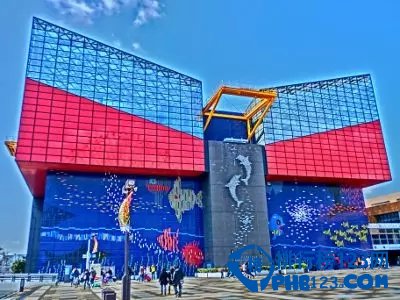 日本最值得去的十大水族馆插图3