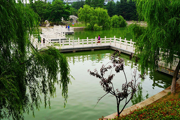 烟台十大最好玩的地方：养马岛上榜 第一名可赏海景洗海浴插图7