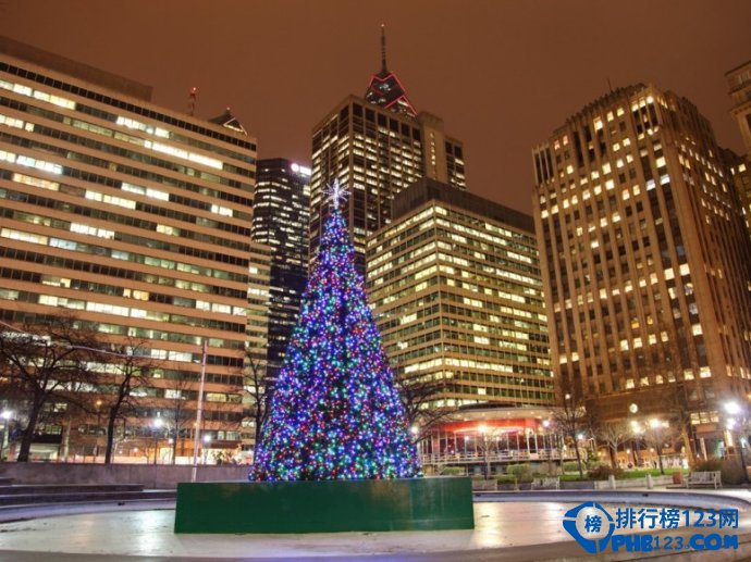 全球最美的十四大圣诞树排行榜插图10