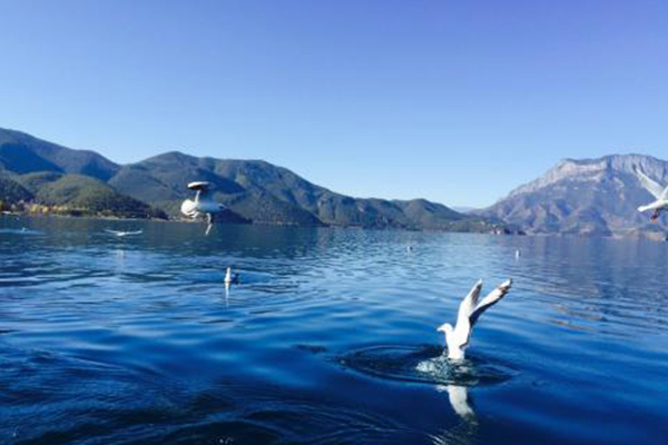 中国十大最适合一个人散心的地方：拉萨的圣洁永远令人神往插图1