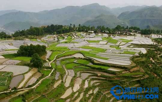 贵州梯田哪里最美 盘点贵州十大最美梯田插图5