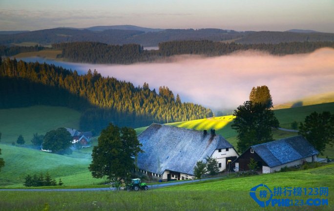 全球十大静美森林排行榜插图3