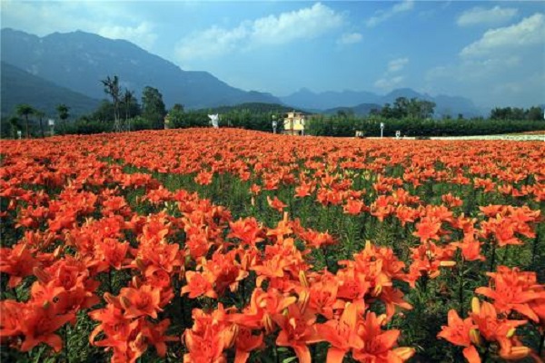 绵阳十大最好玩的景点：寻龙山上榜，第六是李白故居插图4