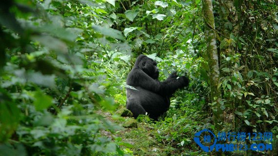 濒临消失的十大自然人文奇观排行榜插图5