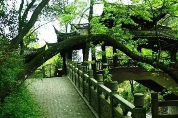 广州十大热门景点排行榜：永庆坊上榜，第一是地标性建筑插图2