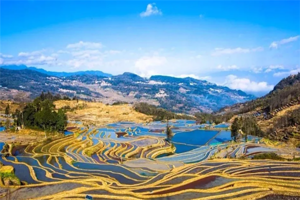 世界三大梯田：拉沃葡萄园梯田上榜，它是世界遗产插图