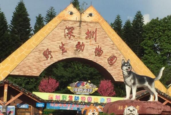 中国最值得去的10大动物园 大连森林动物园上榜第一清朝开放插图7