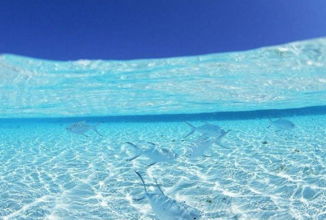 世界十大透明的海 宛如人间仙境，度假首选之地插图2