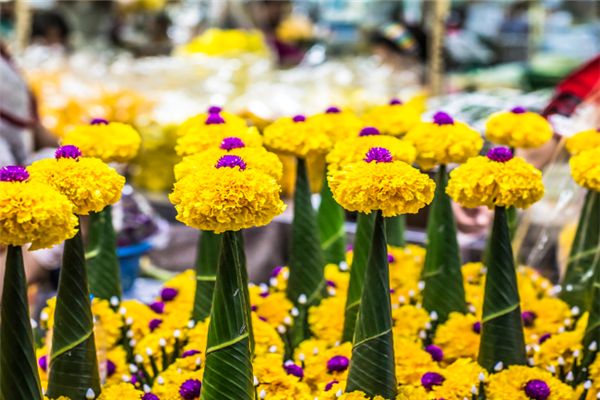 世界十大花卉博物馆：月季博物馆上榜，它是唯一的园艺博物馆插图2
