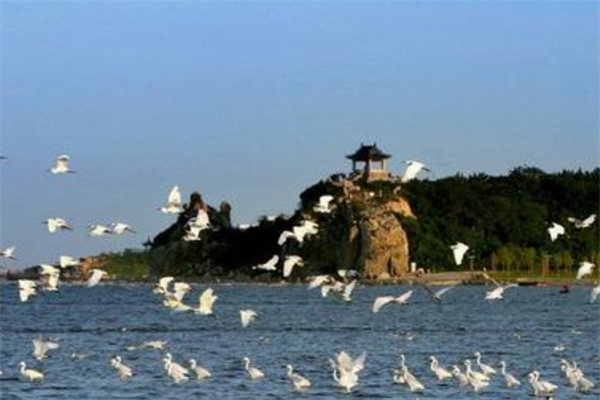 秦皇岛北戴河十大最好玩的景点：怪楼奇园上榜，第三是观鸟地插图1