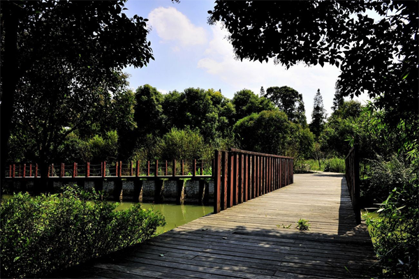 上海十大小镇排行榜：新场镇/朱家角镇上榜 第二是影视基地插图3