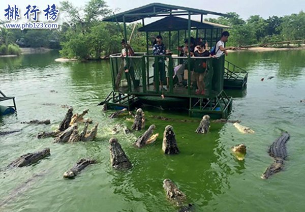 世界十大危险旅游景点，火山/鳄鱼/毒气样样致命插图3