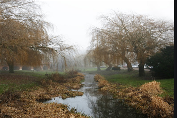 宝鸡十大公园排行榜：人民公园上榜，东湖第五插图7