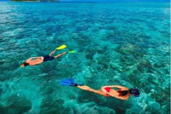 世界潜水胜地排名 魔鬼鱼村第三,椰子岛很是凶险插图4