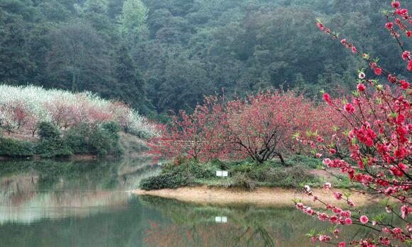 佛山好玩的地方排行榜 佛山十大最好玩的地方推荐插图5