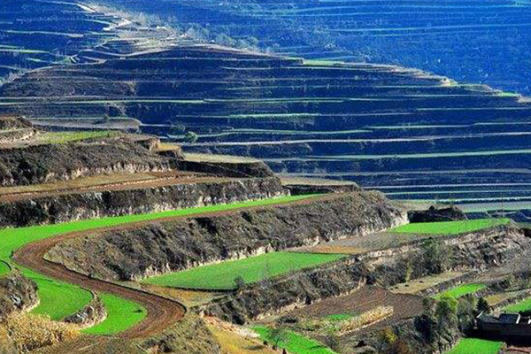 亚洲十大最美梯田:元阳梯田排第五，第一名在我国贵州境内插图3