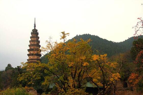 济南好玩的地方排行榜 天下第一泉趵突泉你去过没插图2