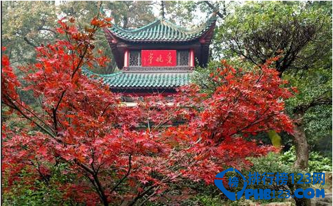 2016湖南旅游景点排行 湖南旅游必去景点推荐插图1