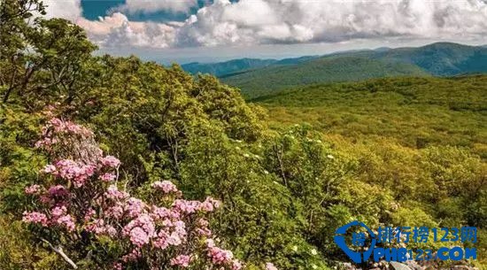 美国十大野花观赏地排行榜插图7