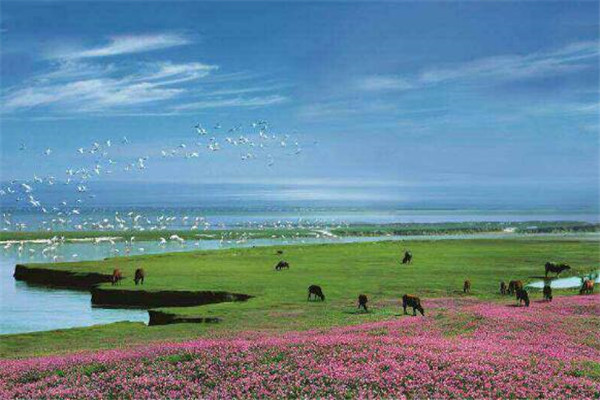 上饶最好玩的地方推荐 上饶好玩的地方排行榜插图3