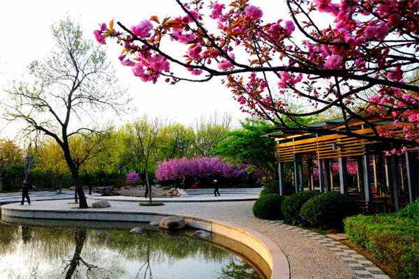 成都十大风景名胜排行榜：锦里上榜，它是十大古镇之一插图8