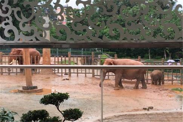 昆明最好玩的地方推荐 昆明好玩的地方排行榜插图6