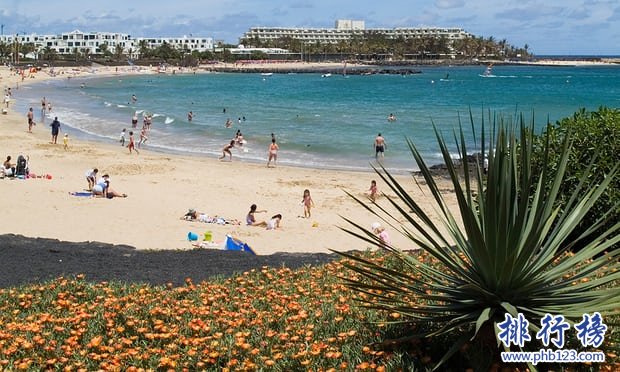 最适合冬季旅游的十个国家，阳光沙滩美食应有尽有插图5