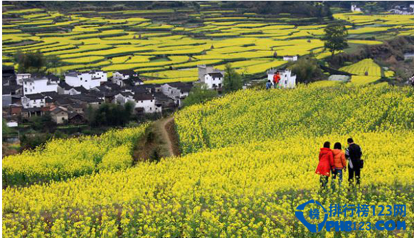 2016江西旅游景点排行 江西旅游必去景点推荐插图3